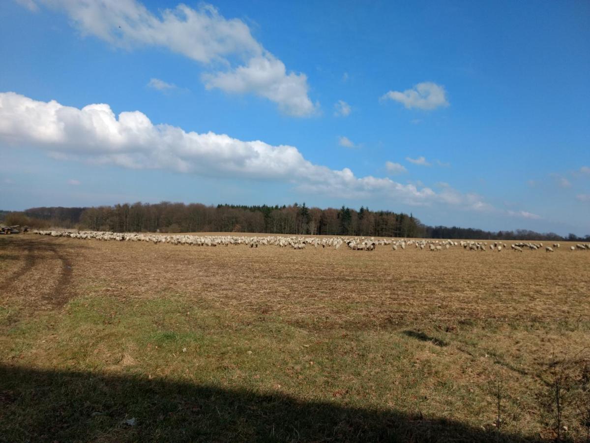 Fewo Haus Patze Betzendorf 外观 照片